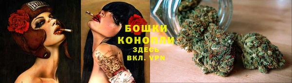 СК Волосово