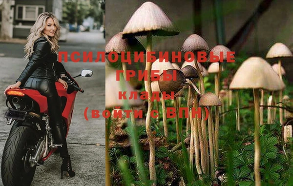 MDMA Premium VHQ Володарск