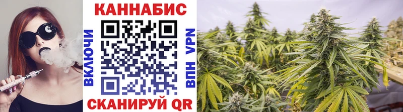Бошки Шишки планчик  KRAKEN вход  Керчь  магазин   